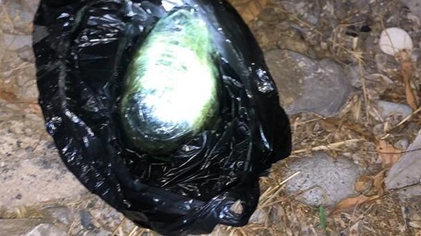 Иллюстративное фото