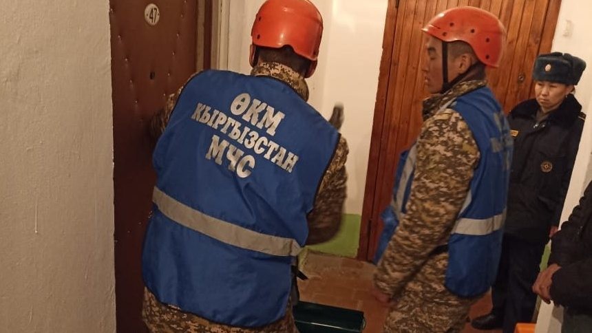 Иллюстрациялык сүрөт