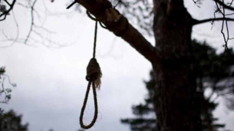 Иллюстрациялык сүрөт