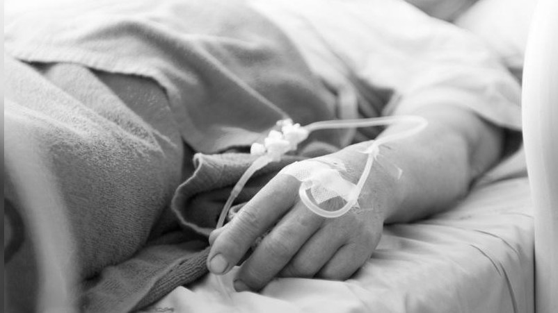 Иллюстрациялык сүрөт