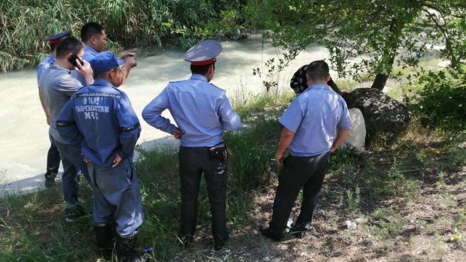 Иллюстрациялык сүрөт