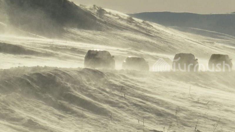 Иллюстрациялык сүрөт