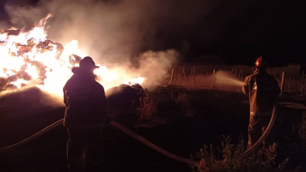 Иллюстративное фото