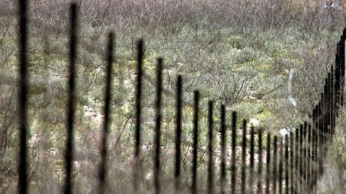 Иллюстрациялык сүрөт