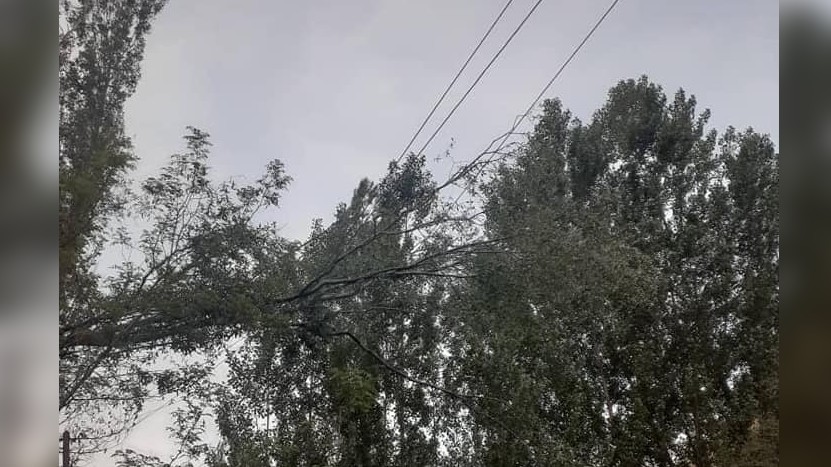 Иллюстрациялык сүрөт