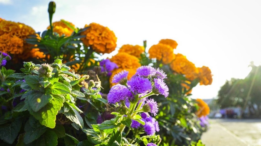 Иллюстративное фото