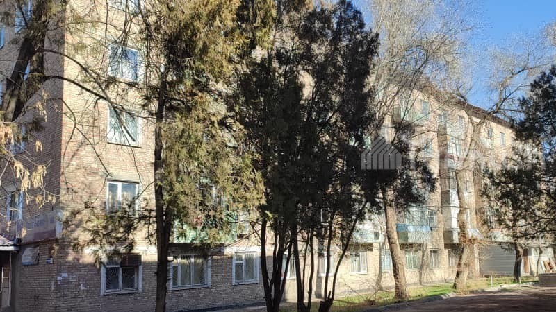 Иллюстративное фото