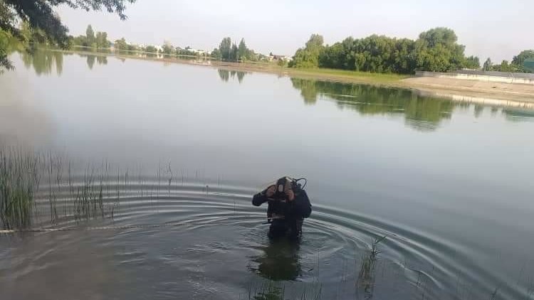 Иллюстрациялык сүрөт