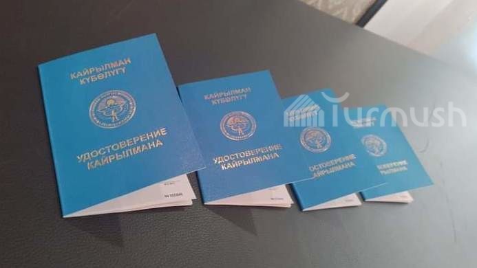 Иллюстративное фото