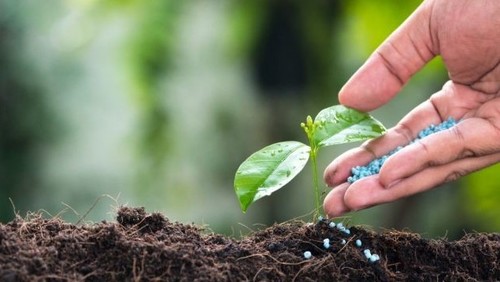 органические удобрения