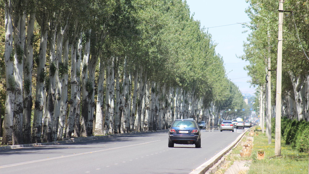 Иллюстрациялык сүрөт