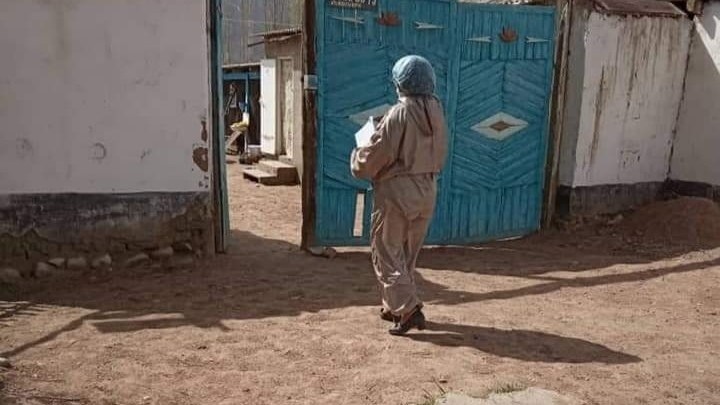 Иллюстрациялык сүрөт