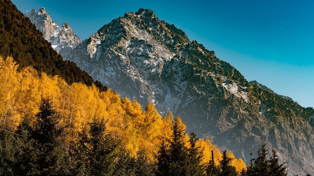 Иллюстрациялык сүрөт