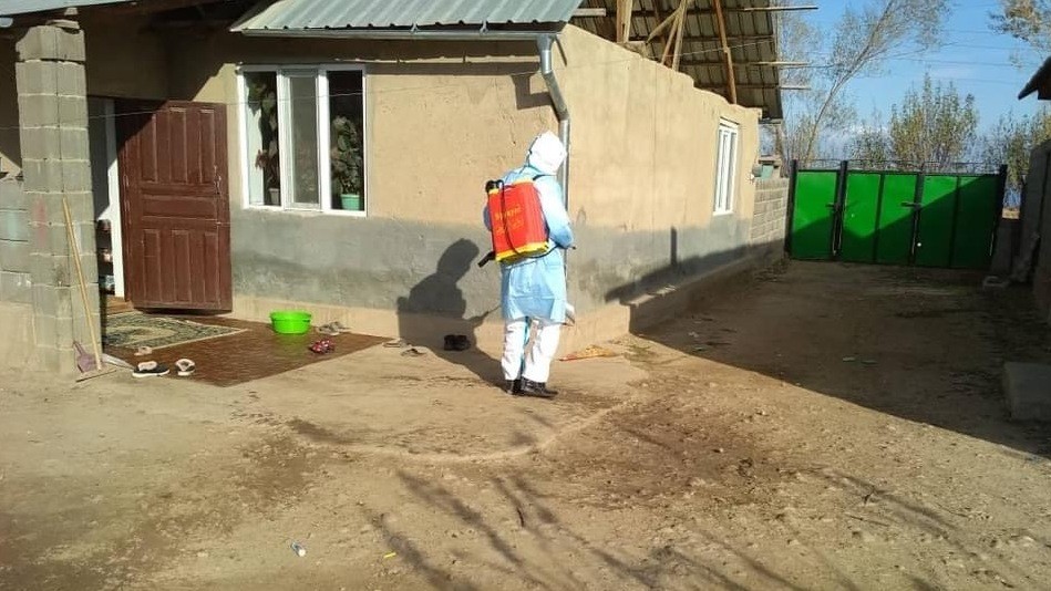 Иллюстрациялык сүрөт