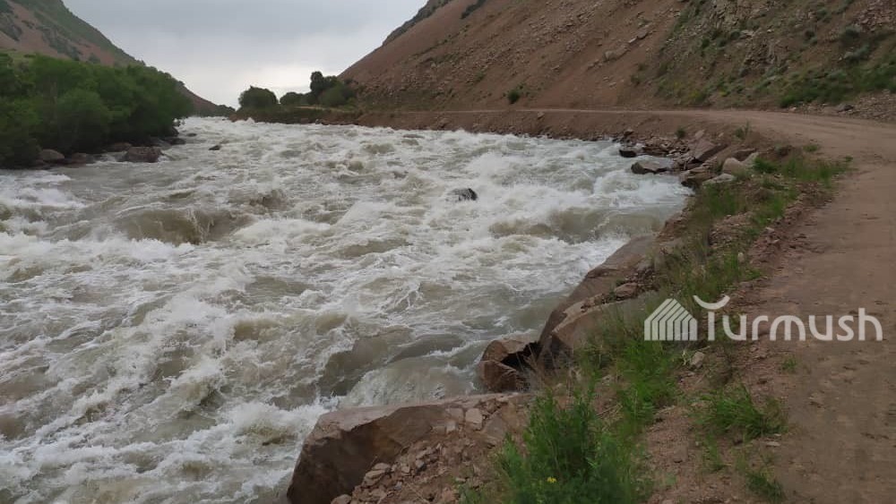 Иллюстрациялык сүрөт