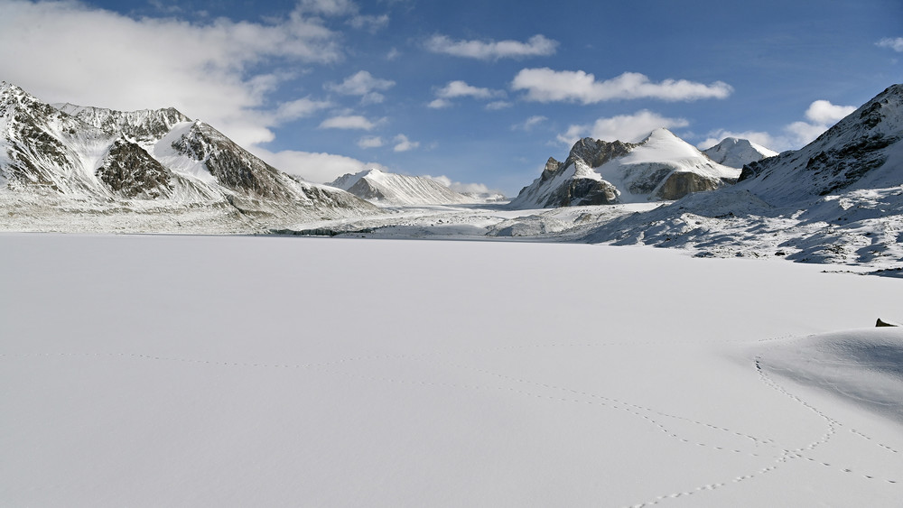 Кумтөр кени