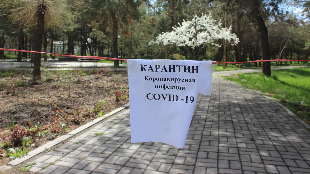 Иллюстрациялык сүрөт