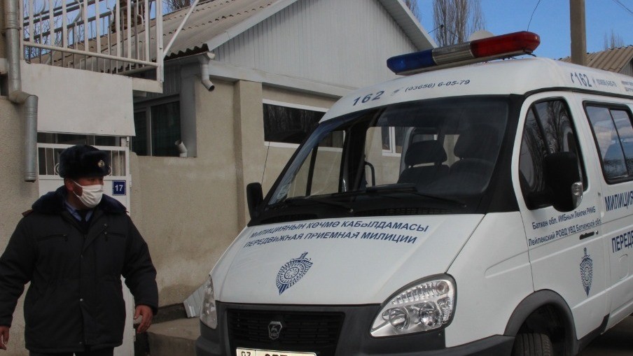 Иллюстрациялык сүрөт