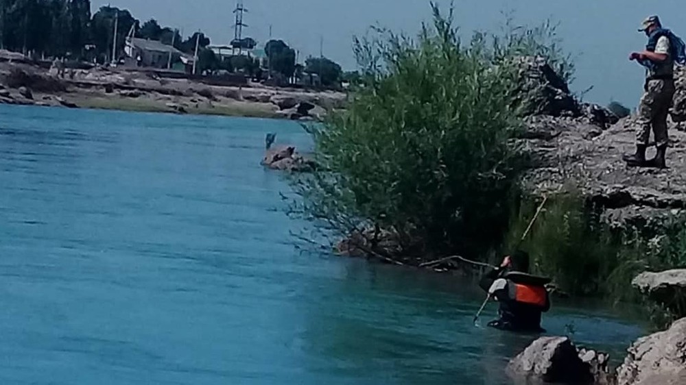 Иллюстрациялык сүрөт