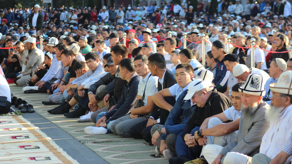 Иллюстрациялык сүрөт