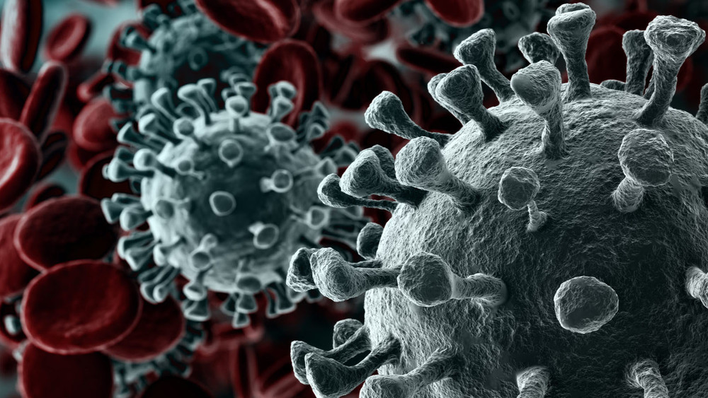 Иллюстрациялык сүрөт