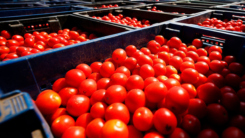 Иллюстрациялык сүрөт