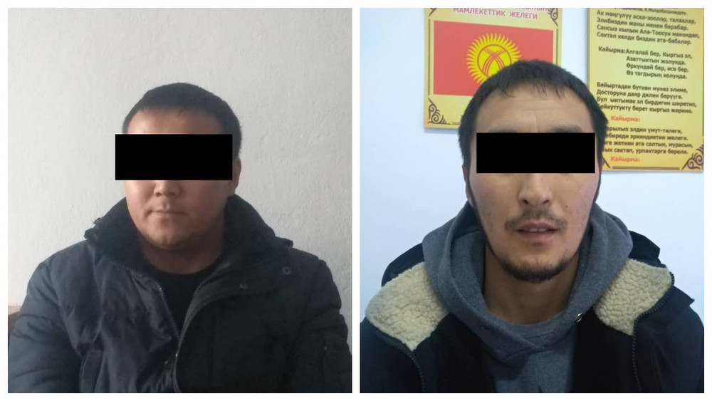 Подозреваемые