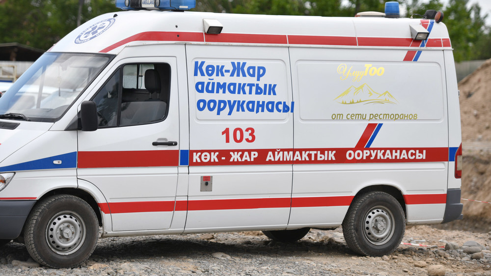 Иллюстрациялык сүрөт