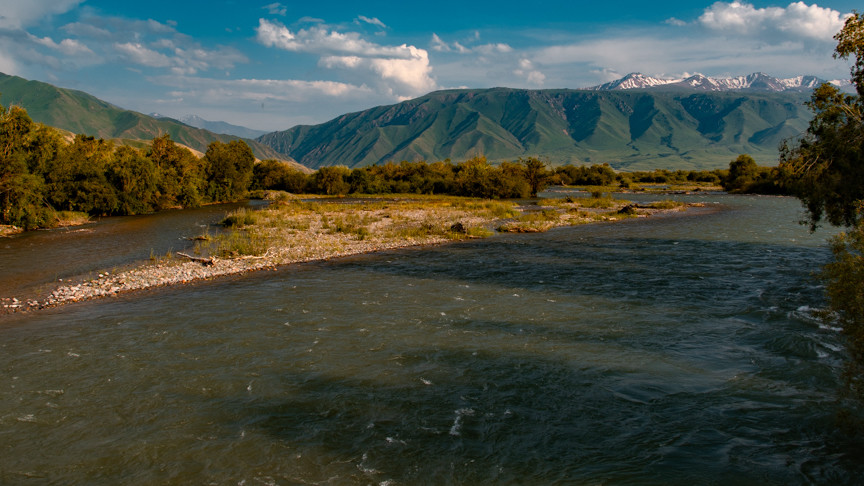 Иллюстрациялык сүрөт