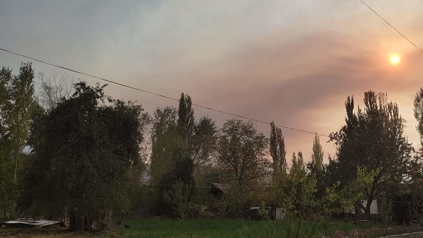 Иллюстративное фото