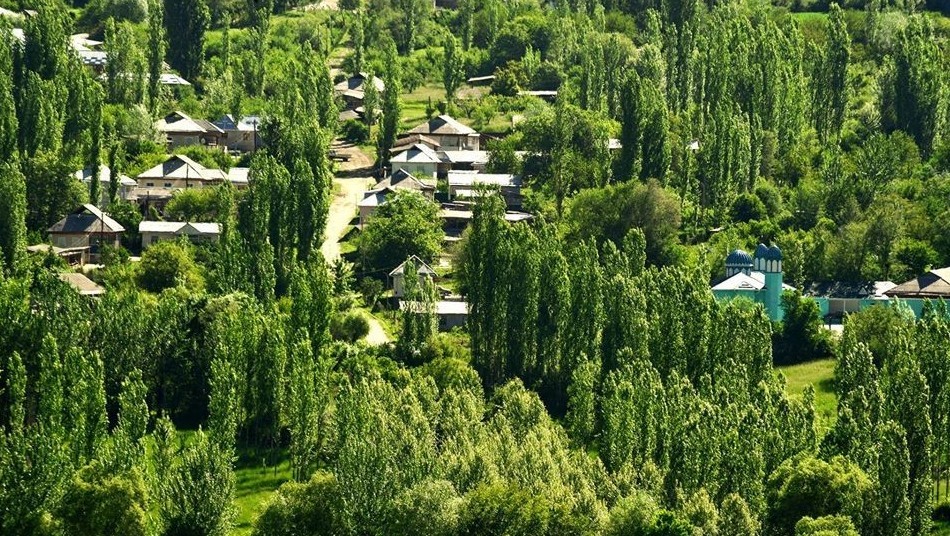 Иллюстративное фото