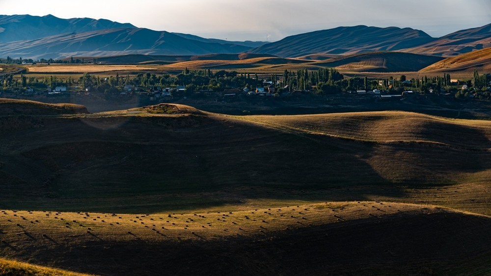 Иллюстрациялык сүрөт