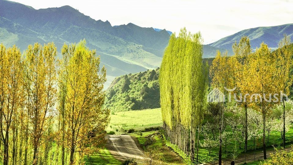 Иллюстрациялык сүрөт