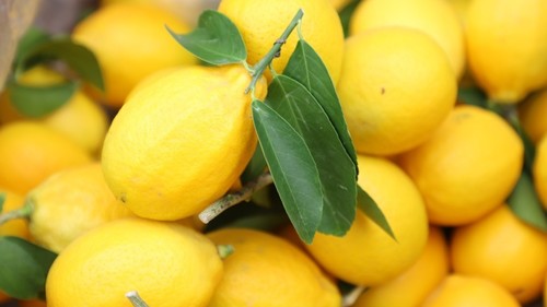 сбор лимонов