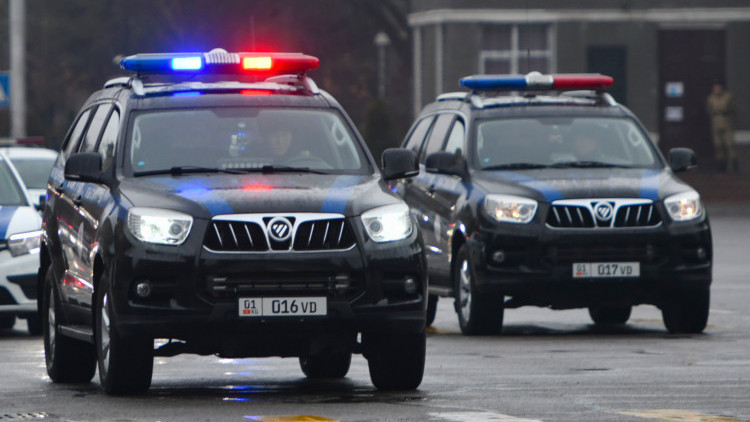 Иллюстрациялык сүрөт