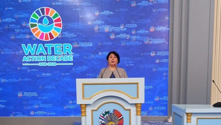 Замглавы МИД КР Динара Кемелова