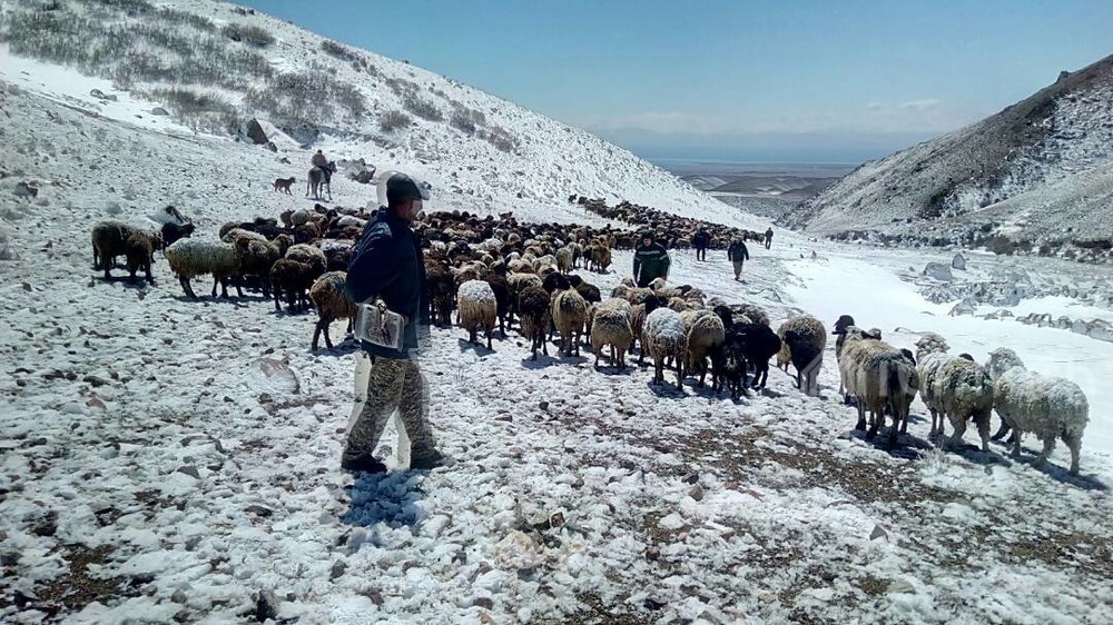 Фото из архивов Turmush