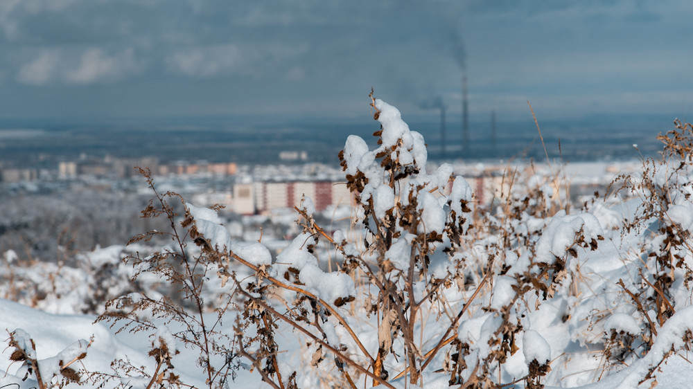 Иллюстрациялык сүрөт