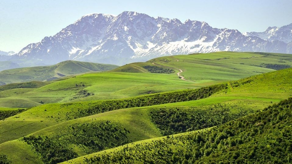 Иллюстрациялык сүрөт