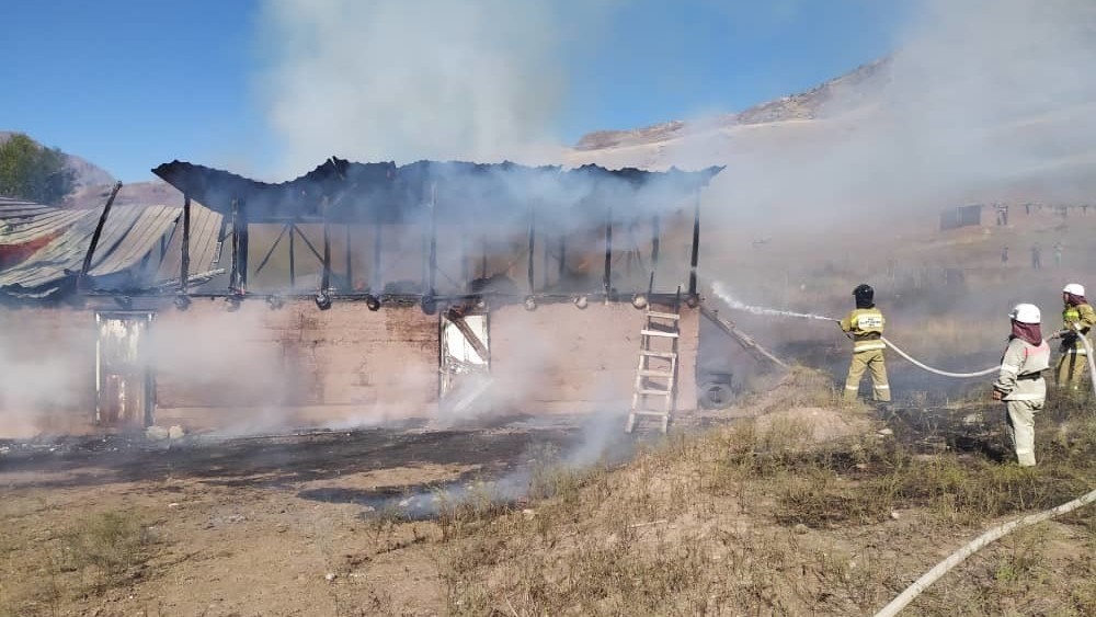 Иллюстрациялык сүрөт