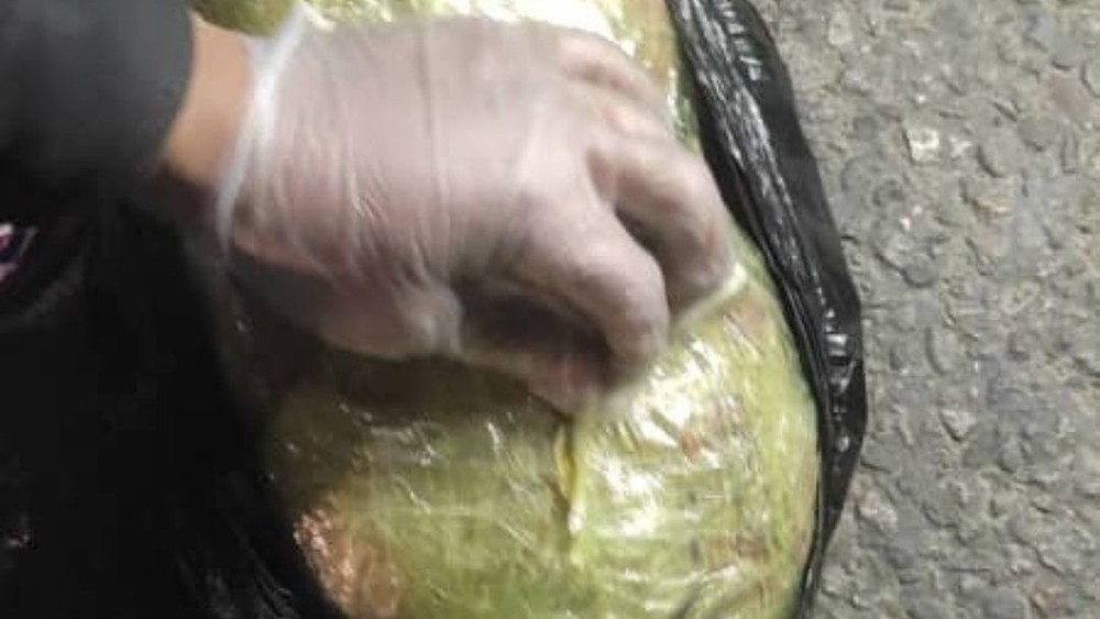 Иллюстрациялык сүрөт