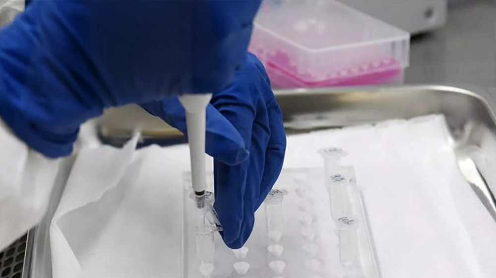 Иллюстративное фото