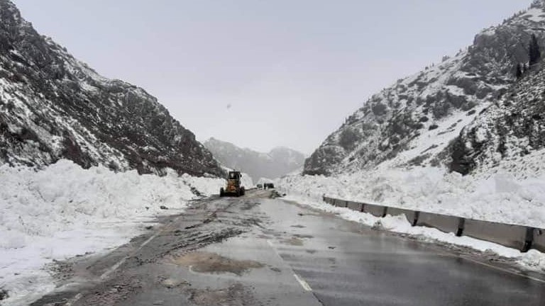 Иллюстративное фото