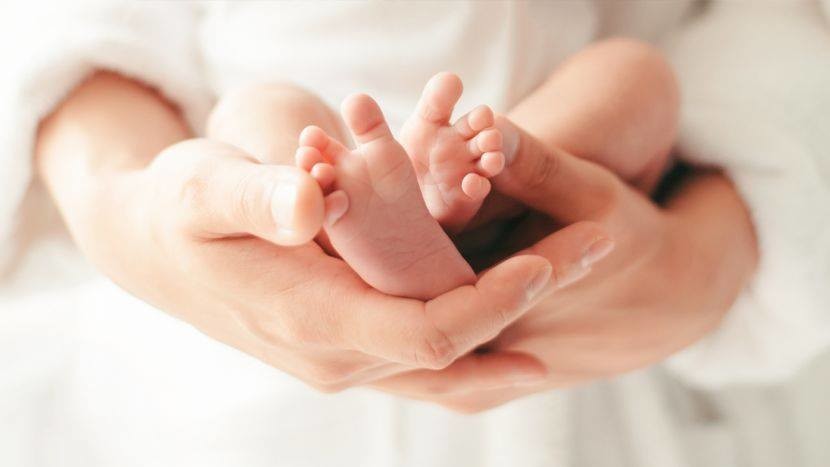 Иллюстрациялык сүрөт