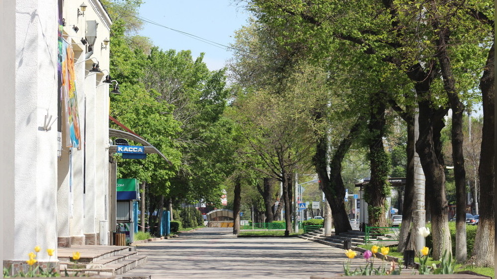 Бишкек в режиме ЧП / Апрель 2020