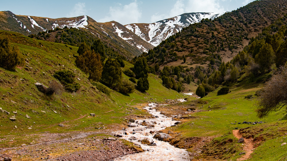 Иллюстрациялык сүрөт