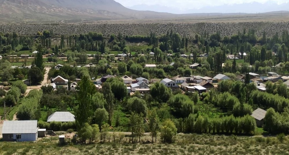 Иллюстрациялык сүрөт