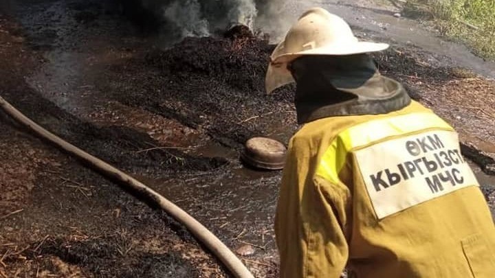 Иллюстрациялык сүрөт