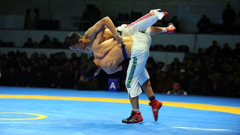 Иллюстрациялык сүрөт