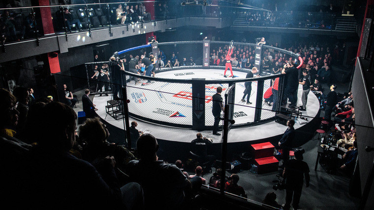 Иллюстрациялык сүрөт